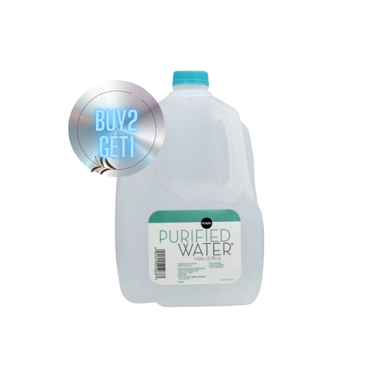 PURIFIED WATER 1 gal