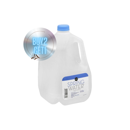 SPRING WATER PUBLIX