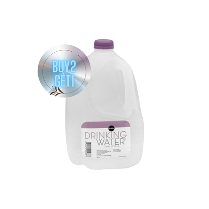 DRINKING WATER 1GAL