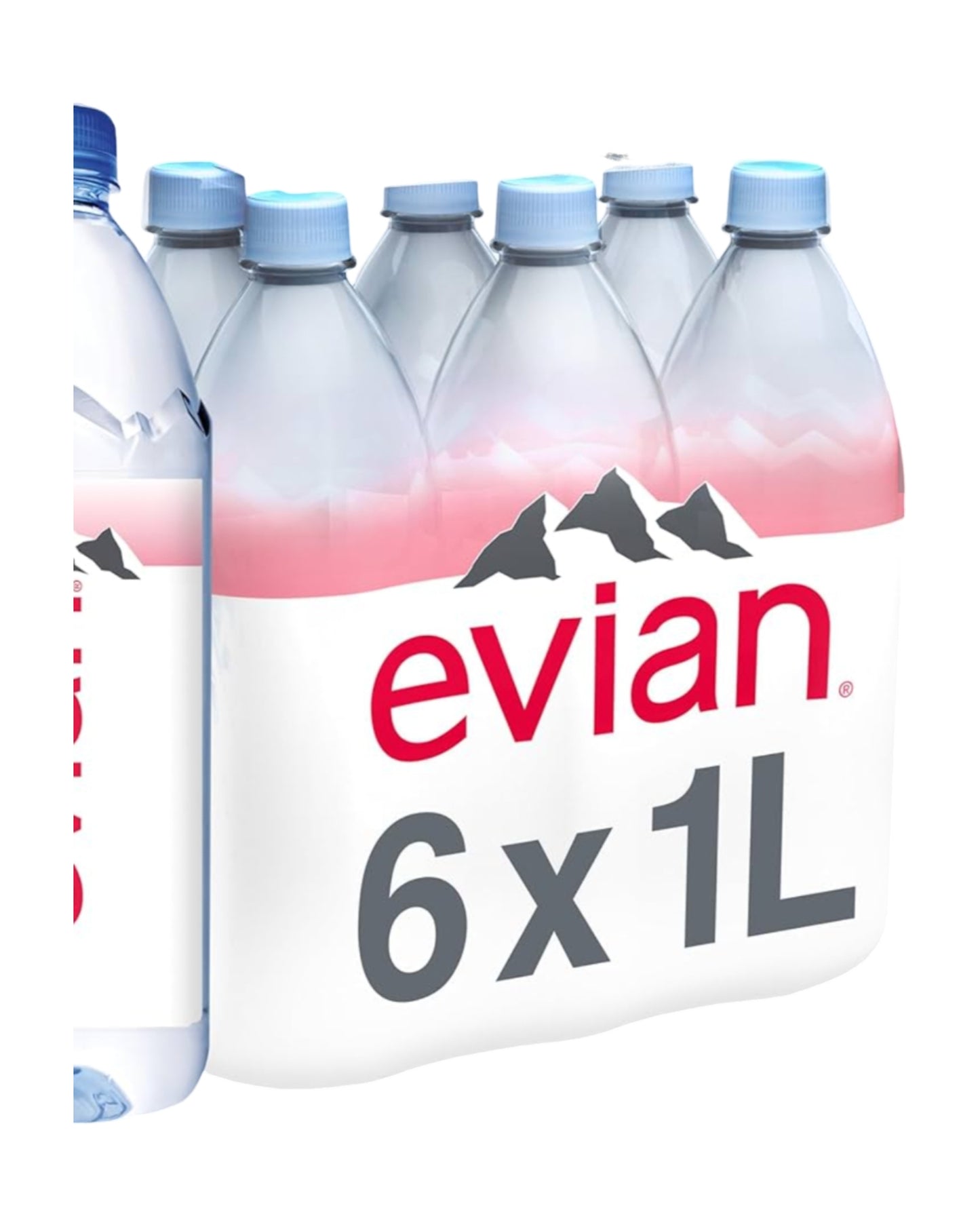 EVIAN 1L